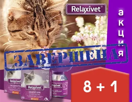 Relaxivet: акция 8 + 1 в подарок Relaxivet: акция 8 + 1 в подарок