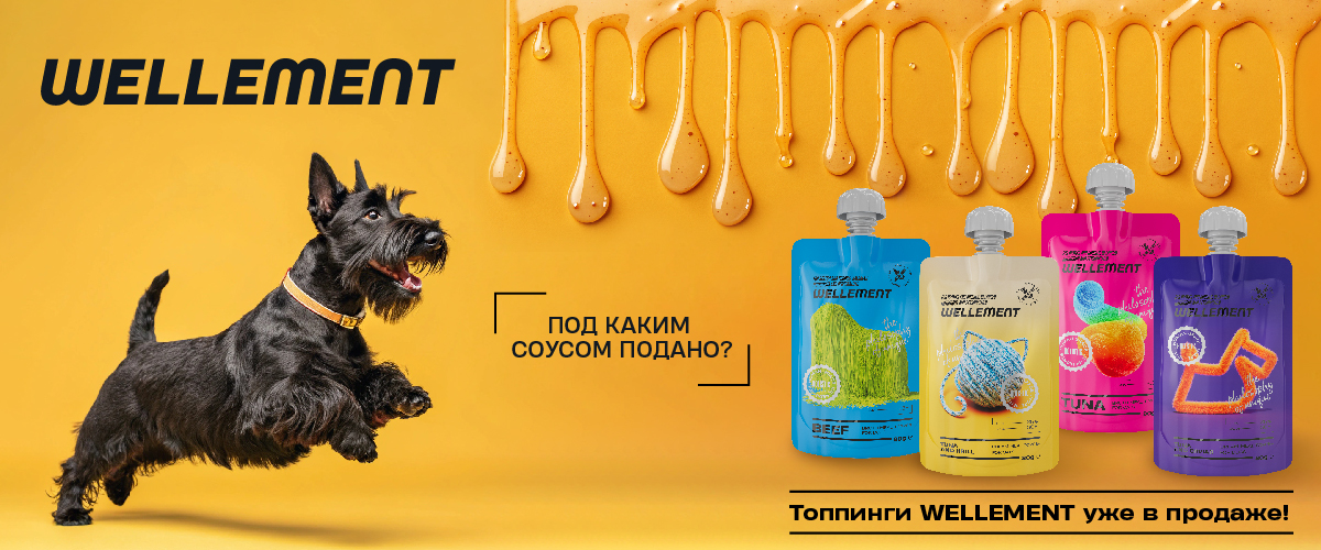 Топпинги от Wellement