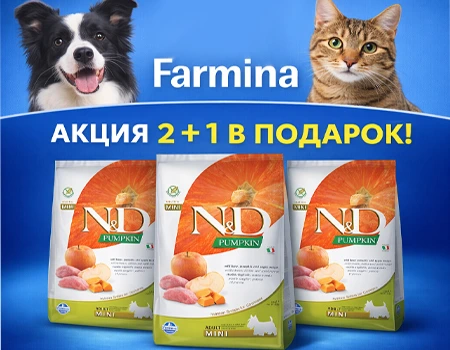 Farmina: акция 2 + 1 в подарок