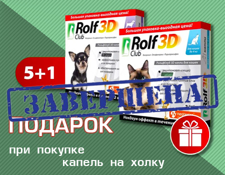 RolfClub: 5 + 1 в подарок RolfClub: 5 + 1 в подарок