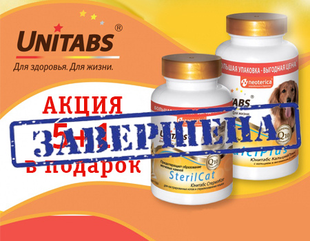 Unitabs: 5 + 1 в подарок