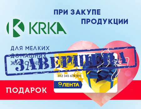KRKA: подарок при покупке продукции для МДЖ