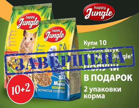 Happy Jungle: 10 + 2 в подарок Happy Jungle: 10 + 2 в подарок