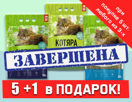 Котяра: акция 5 + 1 в подарок Котяра: акция 5 + 1 в подарок