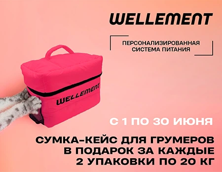 Wellement: сумка-кейс в подарок