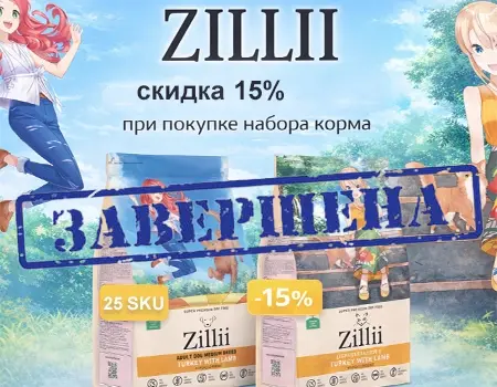 ZILII: набор №2 — скидка 15%