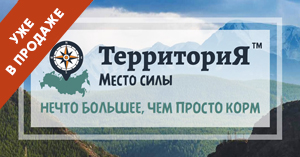 Новинка: корма для кошек и собак Территория