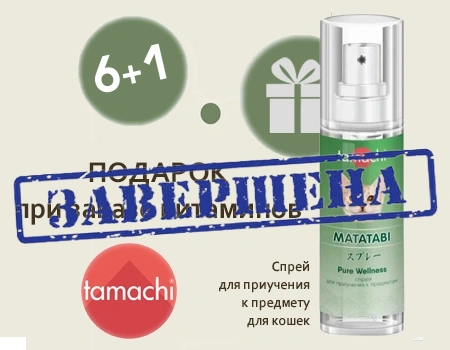 Tamachi: акция 6 + 1