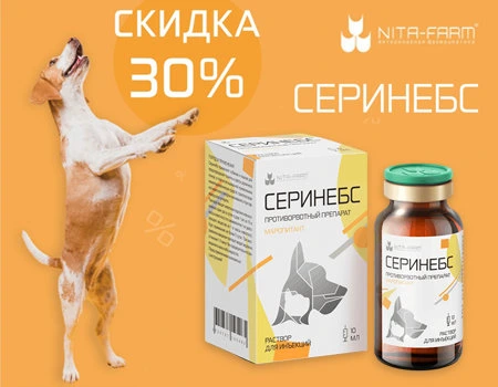 Серинебс: скидка 30% дополнительно