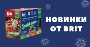 Наборы паучей Brit Premium появились в продаже Наборы паучей Brit Premium появились в продаже