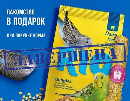 RIO: подарочные упаковки корма с лакомством RIO: подарочные упаковки корма с лакомством