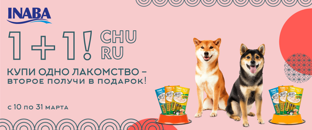 1 + 1 на лакомства Inaba Churu Bee (Только для заводчиков)