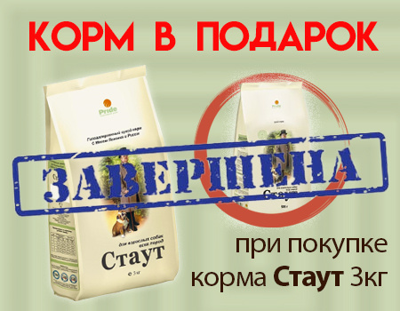 СТАУТ: корм 0,5кг в подарок при покупке 3кг