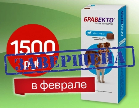 Цена ниже на Бравекто: 1500 руб.!