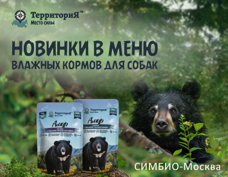 Объявляем Амурские сезоны в СИМБИО! Объявляем Амурские сезоны в СИМБИО!