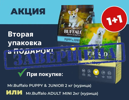 Mr. Buffalo: акция 1+1 на собачьи корма Mr. Buffalo: акция 1+1 на собачьи корма