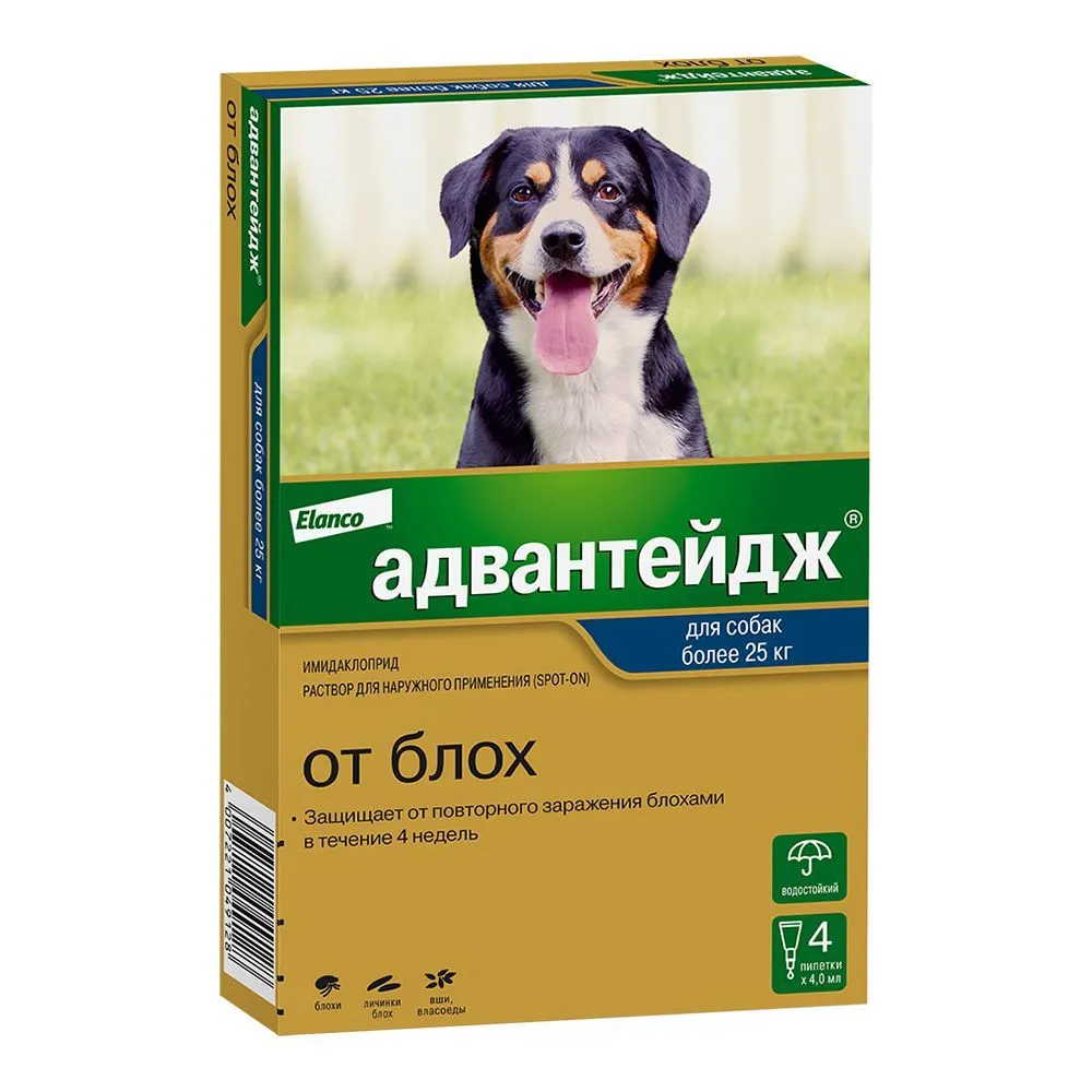 Адвантейдж капли (4пип х 4мл) против паразитов для собак более 25кг  (ЛИЦЕНЗИЯ), купить оптом в Москве, цена, характеристики, описание - Симбио  - ЗооЛэнд