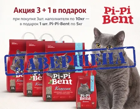 Pi-Pi-Bent: 3 + 1 в подарок