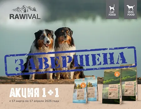 Акция 1+1 на корма RAWIVAL! Акция 1+1 на корма RAWIVAL!
