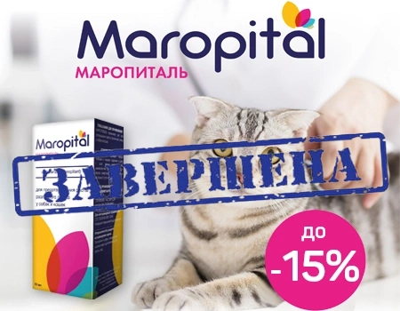 Маропиталь: скидки 15%