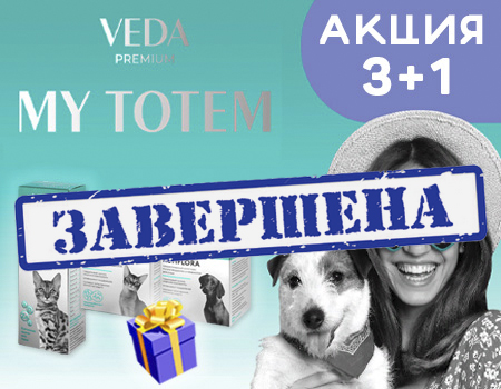 MY TOTEM: акция 3 + 1 в подарок! MY TOTEM: акция 3 + 1 в подарок!