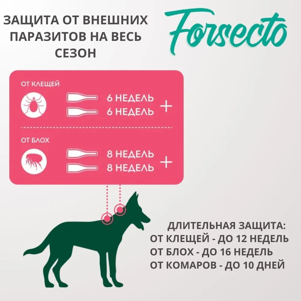 ФОРСЕКТО капли для собак и щенков от 10 до 20 кг (ЛИЦЕНЗИЯ), купить оптом в  Москве, цена, характеристики, описание - Симбио - ЗооЛэнд