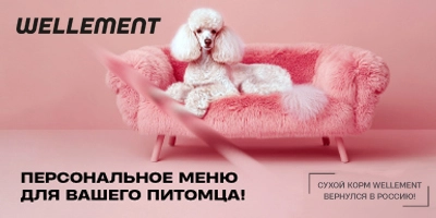 Сухой корм WELLEMENT вернулся в Россию! Сухой корм WELLEMENT вернулся в Россию!