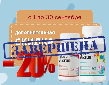 Вит-Актив: скидка 20% дополнительно