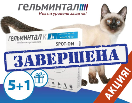 Гельминтал: акция 5 + 1 (ноябрь)