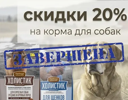 Холистик Премьер: скидка 20% на корма Холистик Премьер: скидка 20% на корма
