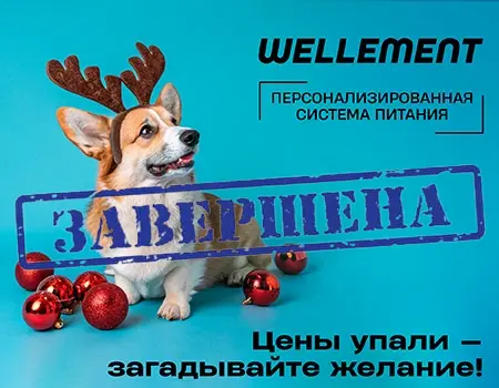 WELLEMENT: доп. скидка 10%
