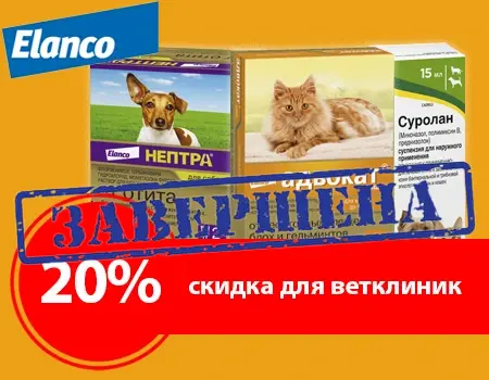 Нептра, Адвокат, Суролан: скидка 20%
