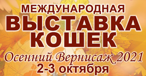 Международная выставка кошек Международная выставка кошек