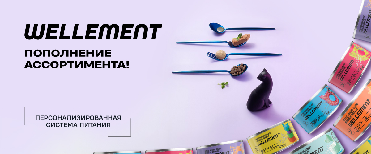 Поступление новинок Wellement