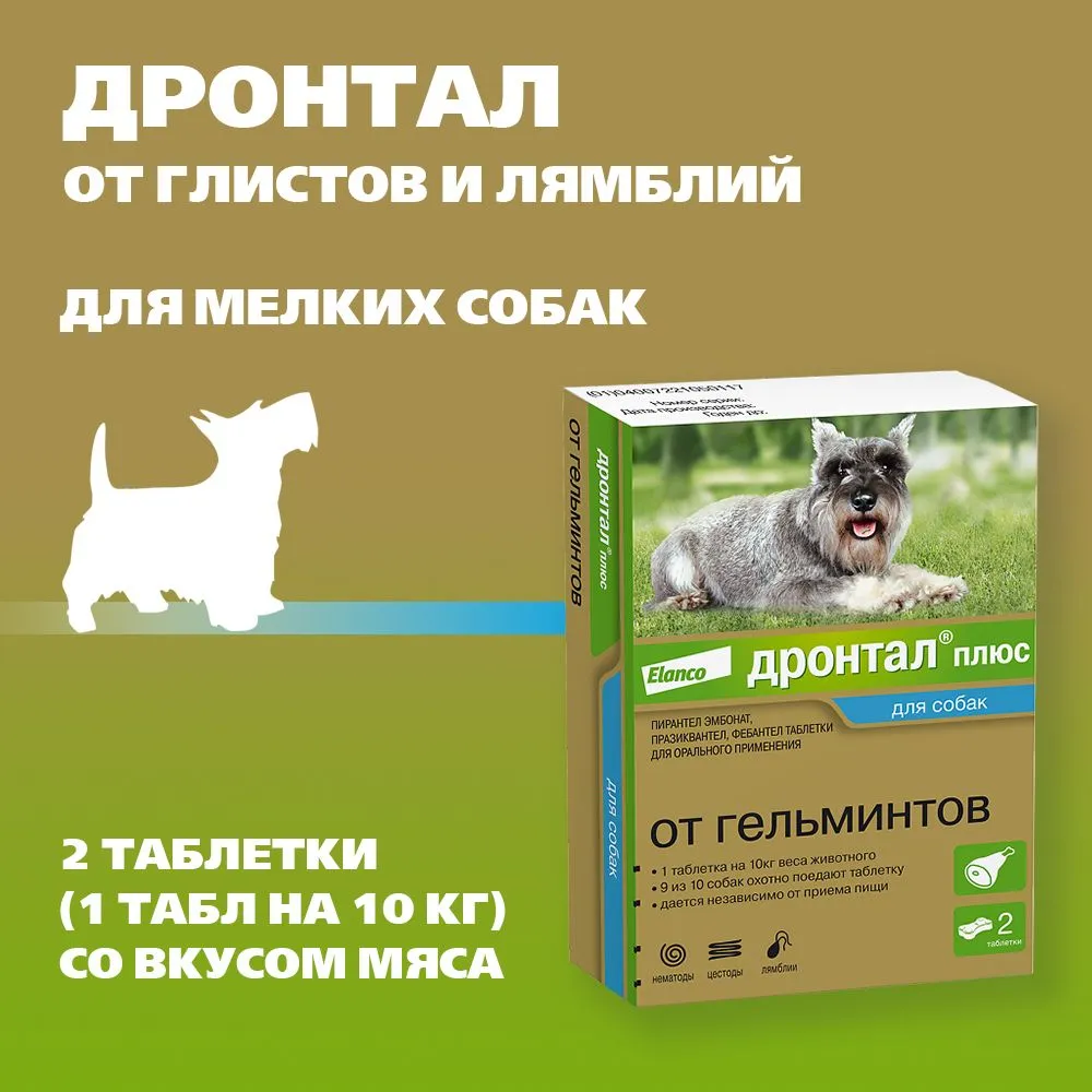 Дронтал (Bayer) плюс Трейси 2таб. антигельминтик со вкусом мяса для собак  1таб./10кг (ЛИЦЕНЗИЯ), купить оптом в Москве, цена, характеристики,  описание - Симбио - ЗооЛэнд