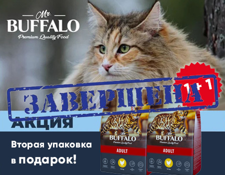Mr.Buffalo: 1 + 1 в подарок Mr.Buffalo: 1 + 1 в подарок