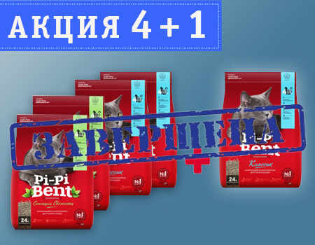 Pi-Pi-Bent: акция 4 + 1 Pi-Pi-Bent: акция 4 + 1