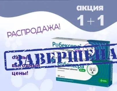 Робексера: 1 + 1 в подарок