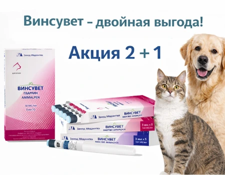 Винсувет: 2 + 1 в подарок