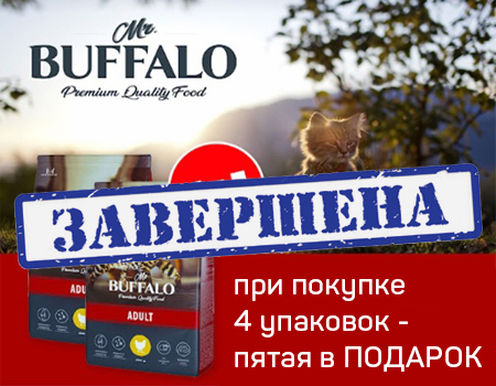 Mr.Buffalo: акция 4 + 1 Mr.Buffalo: акция 4 + 1