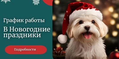 График работы в новогодние праздники Симбио-Урал