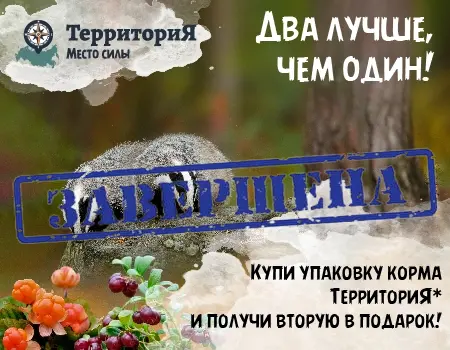 Акция на корма ТерриториЯ 1 + 1 Акция на корма ТерриториЯ 1 + 1