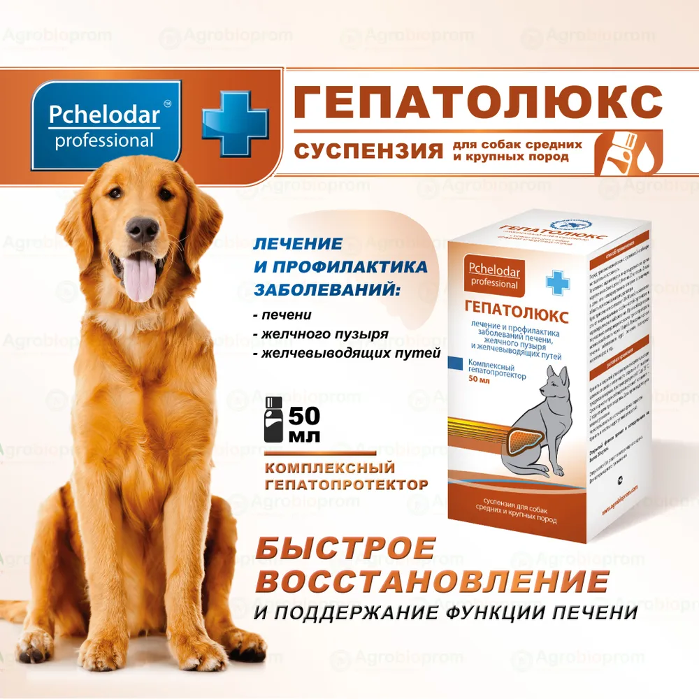 Гепатолюкс для собак купить. Гепатолюкс таблетки для собак. Ш ампунькератолюкс. Гепатолюкс суспензия для кошек 25 мл. Гепатолюкс таблетки 20 шт.
