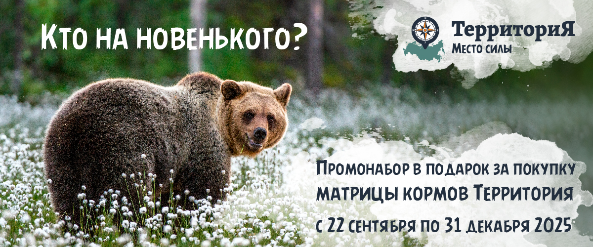 Акция Территория