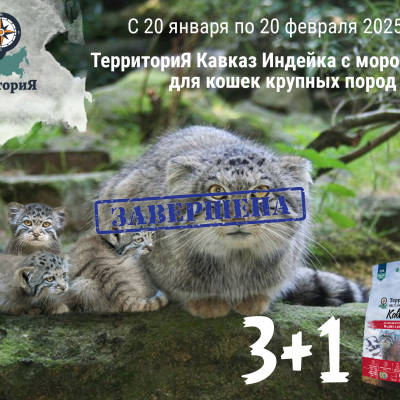 ТерриториЯ: акция 3 + 1 в подарок ТерриториЯ: акция 3 + 1 в подарок