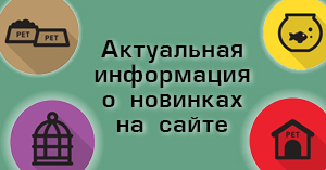 Актуальная информация по новым поступлениям товара на склад уже  доступна на сайте