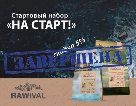 Стартовый набор бренда Rawival  «На старт!»  Стартовый набор бренда Rawival  «На старт!»
