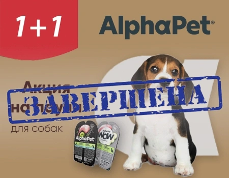 AlphaPet: акция 1 + 1 на влажные корма