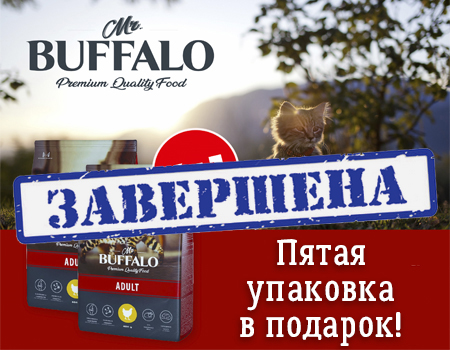 BUFFALO: акция 4 + 1 на сухой корм для взрослых кошек BUFFALO: акция 4 + 1 на сухой корм для взрослых кошек