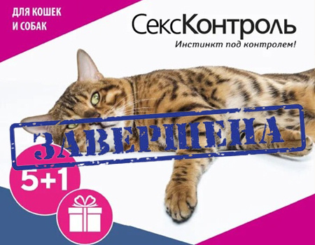 СексКонтроль: 5 + 1 в подарок